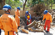 民安队动员140人清理「山竹」过后新界塌树