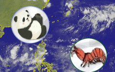 台风改名 「皮皮虾」熊猫入选成大热