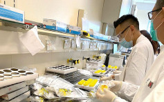 防护中心指香港新冠病毒检测量是亚洲前列