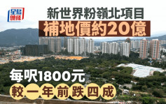 新世界粉嶺北項目 補地價約20億 每呎1800元 較一年前跌四成