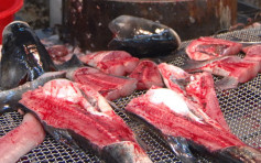 食安中心4月检测发现5个食物样本不及格 九龙城街市鲩鱼含孔雀石录