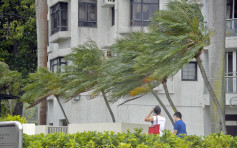 内地部门料南海低压区最快周三增强为热带风暴