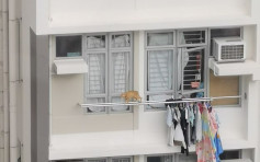 【維港會】貓貓27樓䁁衣杆徘徊 網民斥主人不裝窗網險奪命