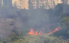 东涌山火一度现两火线 焚烧逾5小时救熄