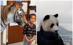 Google搜寻即变出特定动物 家中自制虚拟AR动物园