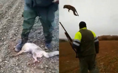 西班牙残忍猎人暴虐狐狸 抛高掷地踩头至半死