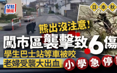 有片｜日本秋田熊周街袭击致6人伤小学急停课