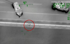 美国佛州男子偷车被围捕 纵身跳下17米高大桥