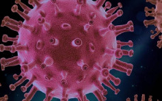 南非全新变种病毒「C.1.2」扩散7国 突变率快2倍或更具传染力