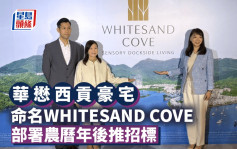 華懋西貢豪宅命名WHITESAND COVE 部署農曆年後推招標