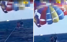 男子跳伞接近海面 遭鲨鱼跃出噬咬重伤