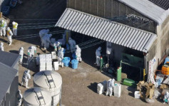 日本茨城養雞場爆禽流感  即日撲殺7.2萬隻蛋雞