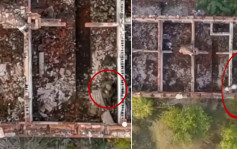 兩俄兵「人體連結中」遭烏克蘭無人機投彈影片瘋傳 網民：致命性愛