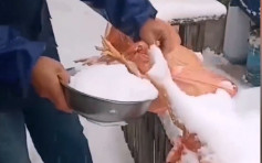 中國「最冷小鎮」降雪 住戶「冰封雞」放屋外留過年食用 