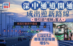 國慶黃金周︱深中通道開通成出遊新路線  旅行社料港珠澳遊報團增5%