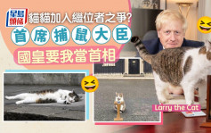 卓慧思辞职「英国第一猫」发文：国皇要我当首相