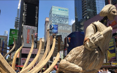时代广场实物结合3D虚拟艺术展 唤醒公众关注气候变化