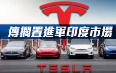 Tesla传搁置进军印度市场计划