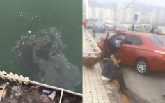 重慶巴士撞欄墮長江沉沒 暫打撈兩具遺體