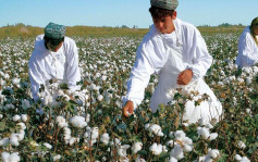 報道指美國或禁新疆棉製品入口 將使全球服裝業帶來巨變