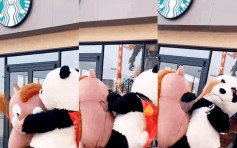 【片段】江苏街头现「熊猫」大战「野猪」 爆笑画面惹热议