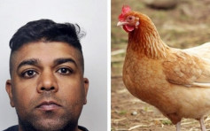 英男性侵雞隻被判3年有期徒刑 法官卻翻轉判決指無法禁養