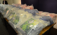 海關指今年首9個月檢逾2噸恰特草 運往歐美郵包常被截獲
