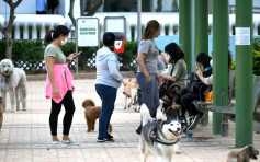 愛協重申無證據顯示動物能將病毒傳播給人類