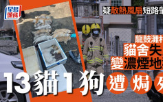 龙鼓滩村屋猫舍闭门失火变浓烟地狱 14猫狗遭焗死