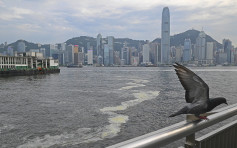 香港海面过去一周发现11宗红潮