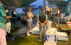 跨部門香港仔批發市場反黑工 4內地男被捕