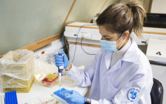 巴西研究所申請人體試驗 研究以馬血清治新冠病毒