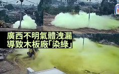 广西不明气体泄漏木板厂「染绿」 官方：现场无人员伤亡