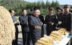 俄烏戰爭｜美國：俄羅斯想以糧食向北韓換軍火