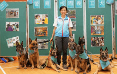 警夥動物守護社區大使辦「義工犬進入校園計劃」 與學生探訪社會各階層