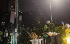 颱風蘇拉︱中電中午前完成受颱風影響用戶復電工作