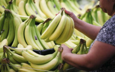 【健康Talk】便秘吃香蕉更严重？想顺利排便应改吃5种水果