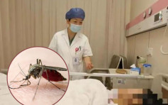 杭州38周孕妇被蚊叮感染丹毒 发高烧紧急剖产子