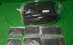 行李藏8.3公斤大麻精市值百万 22岁印度男旅客被捕