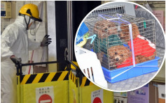 葵盛西第8座升降机槽底消毒 渔护署人员带走小动物