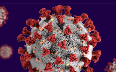 更致命「Covid-22」变种明年肆虐？ 瑞士学者致歉澄清用词不当