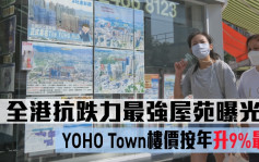 全港抗跌力最强屋苑曝光   YOHO Town楼价按年升9%最高