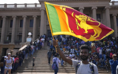 斯里兰卡总理暂代总统职务 宣布全国进入紧急状态