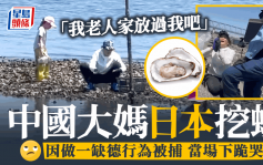 中国大妈日本挖蚝因1原因被捕   下跪哭求饶：放过我吧