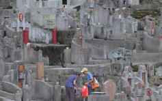 重阳节｜运输署分3阶段实施特别交通安排 方便市民扫墓