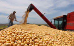 【中美贸易战】中方强调不买美大豆也可满足需要
