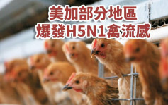美加部分地区爆发H5N1禽流感 当地禽类产品暂停进口