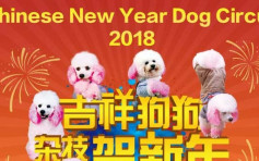 中國狗戲團被斥「利用狗賺錢」 新加坡賀歲表演告吹