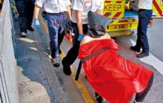九龍城傷人案｜雙程證男被控11罪 控方呈醫生信透露疑患精神病