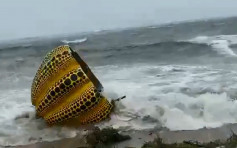 風暴盧碧襲日本 直島地標草間彌生黃南瓜被沖落海